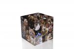 Cats 7.75 x 7.75 x 7.7 Inch Flat Empty Gift Box