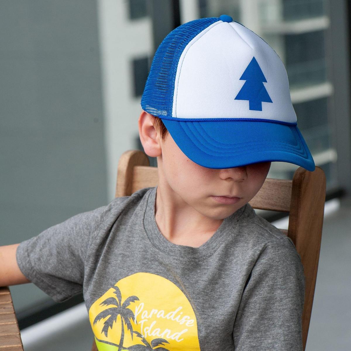 Gravity Falls Dipper Pines Trucker Hat picture