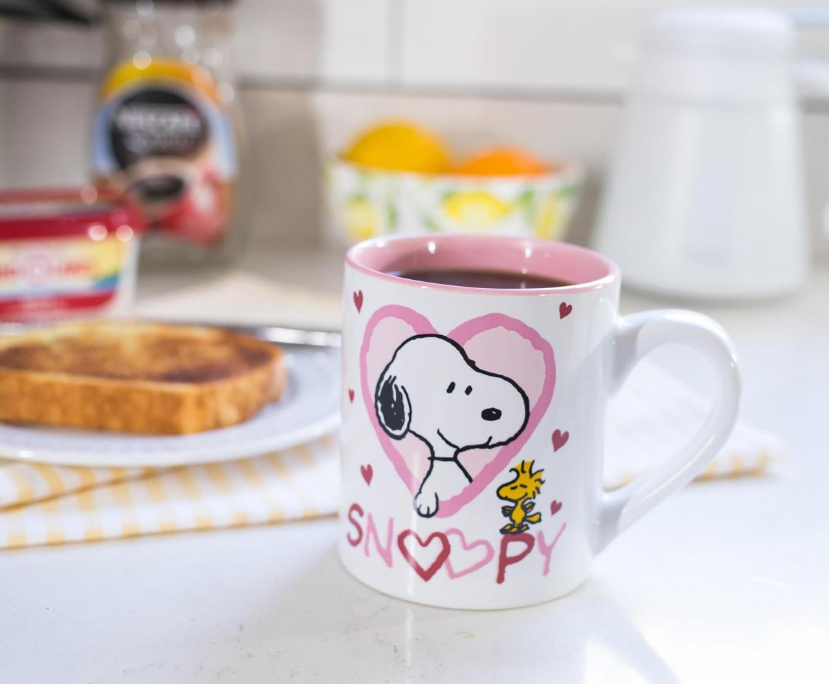 Peanuts Snoopy Woodstock Hearts 14 Ounce Mug picture