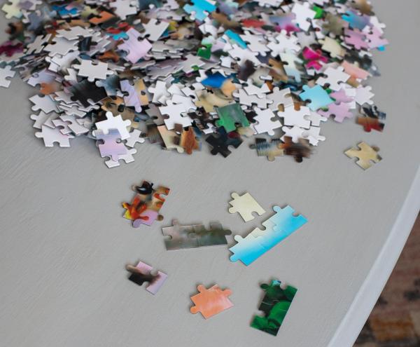Howard Robinson Pet Selfie 500 Piece 3D Jigsaw Puzzle picture