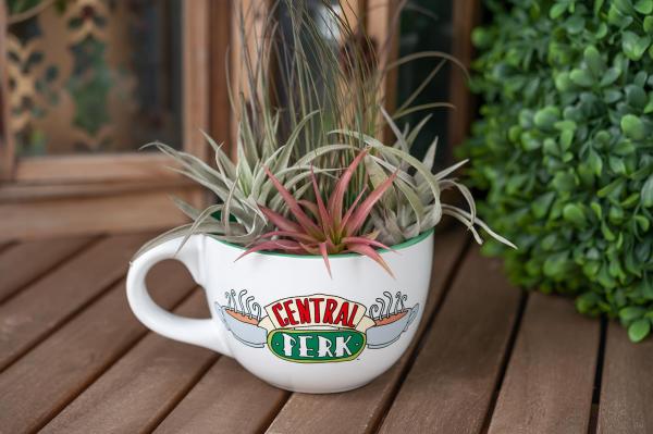 Friends Central Perk Ceramic 24oz White Ceramic Soup Mug picture