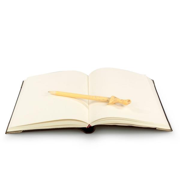 Harry Potter Tom Riddle Journal w/ Voldemort Wand Pen picture