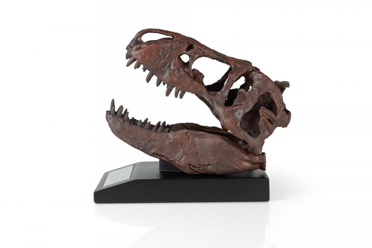 The Nation's T-Rex Skull Statue | 6-Inch Smithsonian Fossil Replica| 1:10 Scale picture