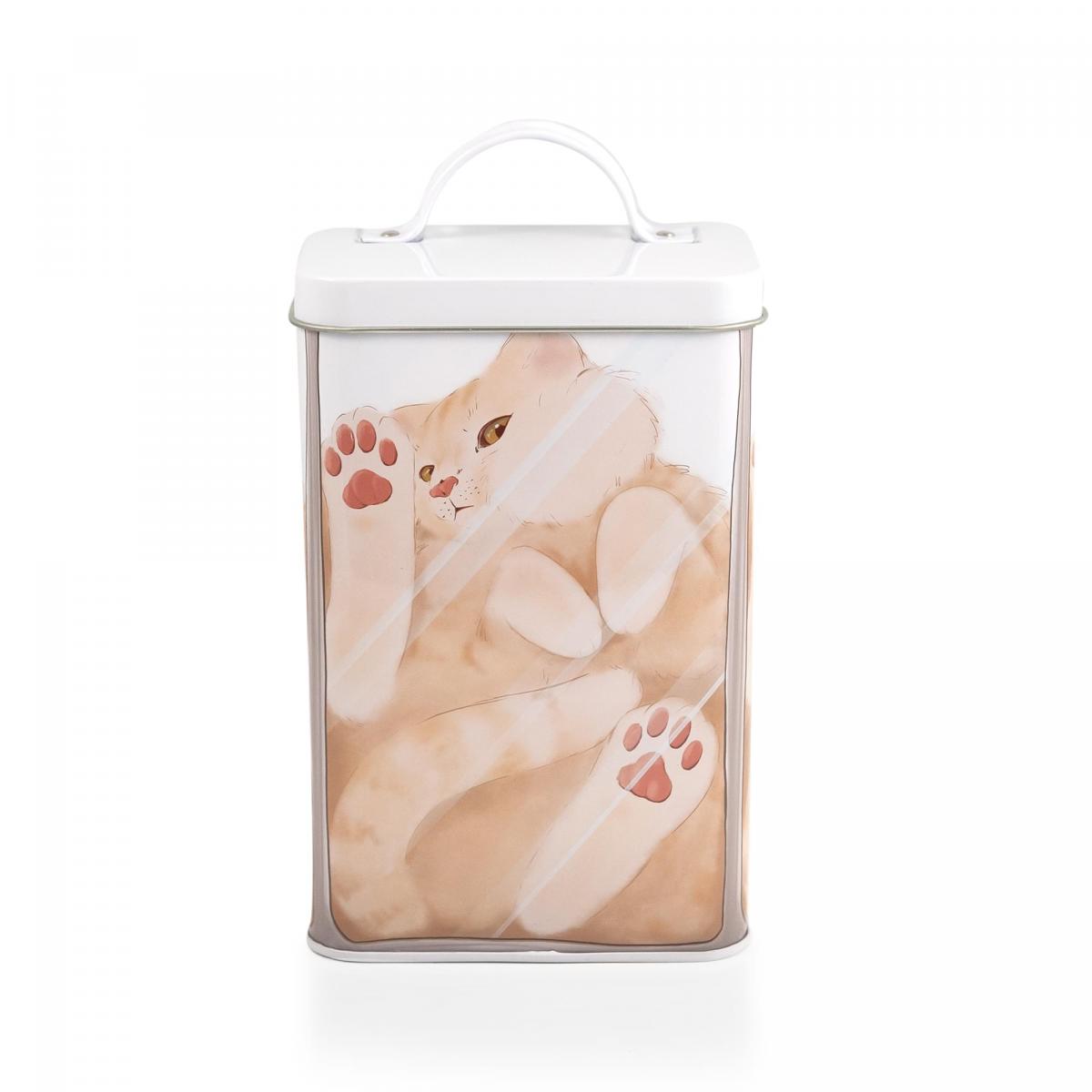 Cat in a Box 6 x 4 Inch Storage Tin w/ Lid picture