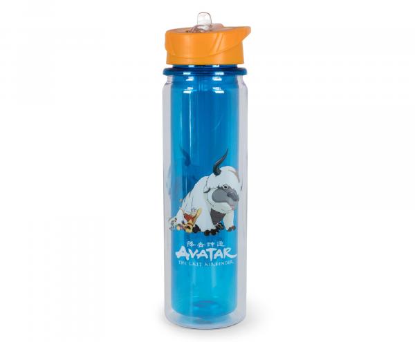 Avatar Last Airbender Aang & Appa Water Bottle