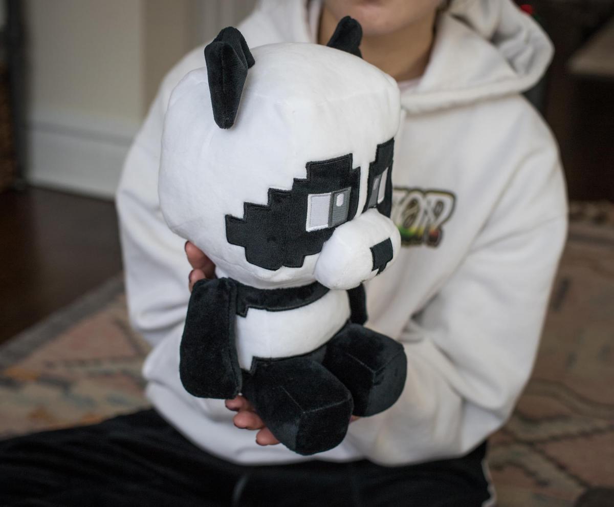 Minecraft Adventure Series 8.75 Inch Panda Plush picture