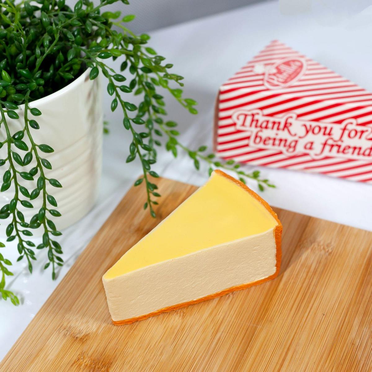 Thank You For Being A Friend Cheesecake Foam Squishy Toy picture