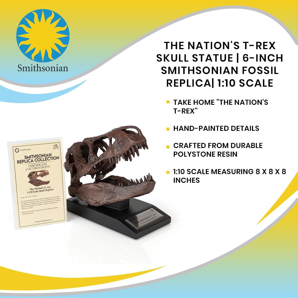 The Nation's T-Rex Skull Statue | 6-Inch Smithsonian Fossil Replica| 1:10 Scale picture