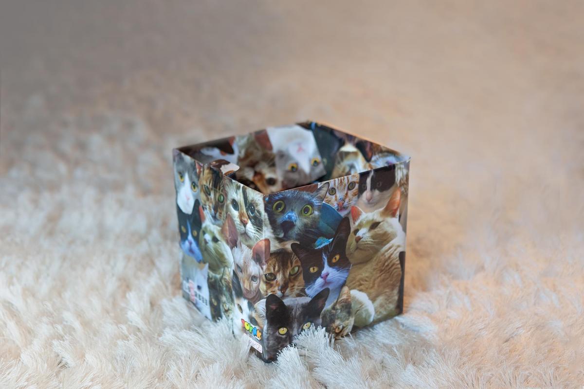 Cats 7.75 x 7.75 x 7.7 Inch Flat Empty Gift Box picture