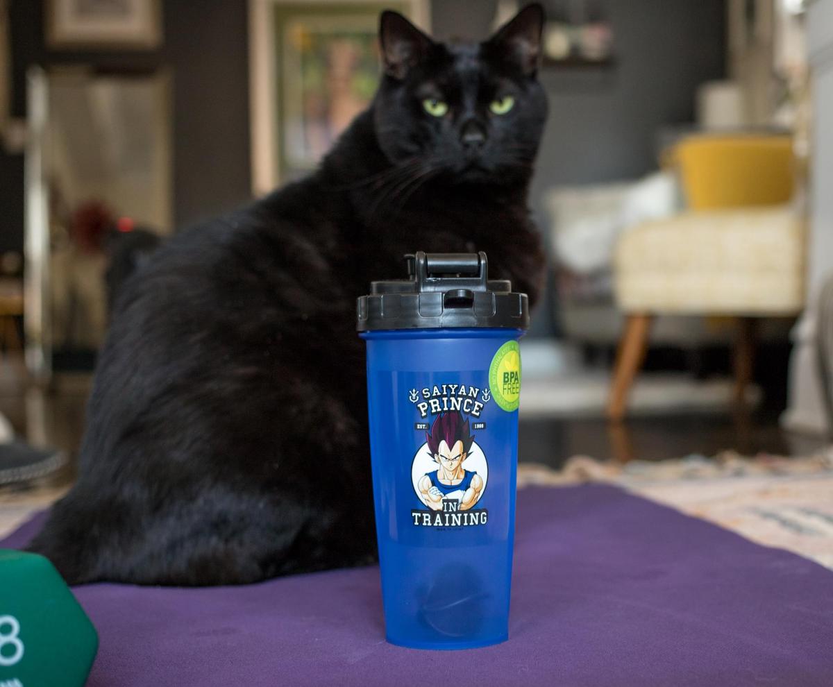 Dragon Ball Z Saiyan In Training Shaker Bottle picture