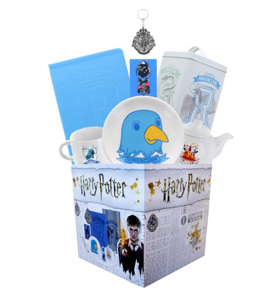 Harry Potter Ravenclaw Looksee Box | Mug | Journal | Magnet