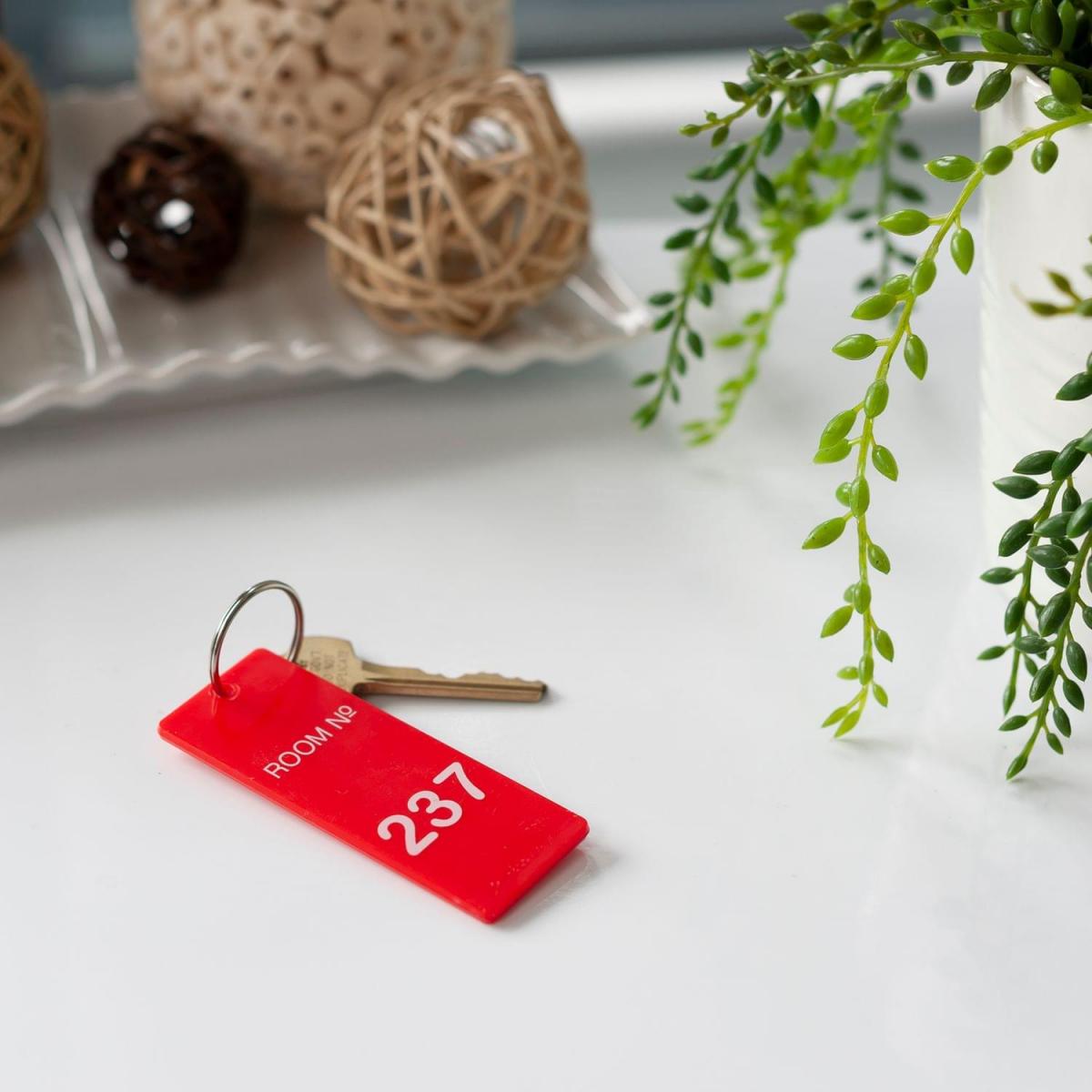 The Shining Plastic "Overlook Hotel" Keyring picture