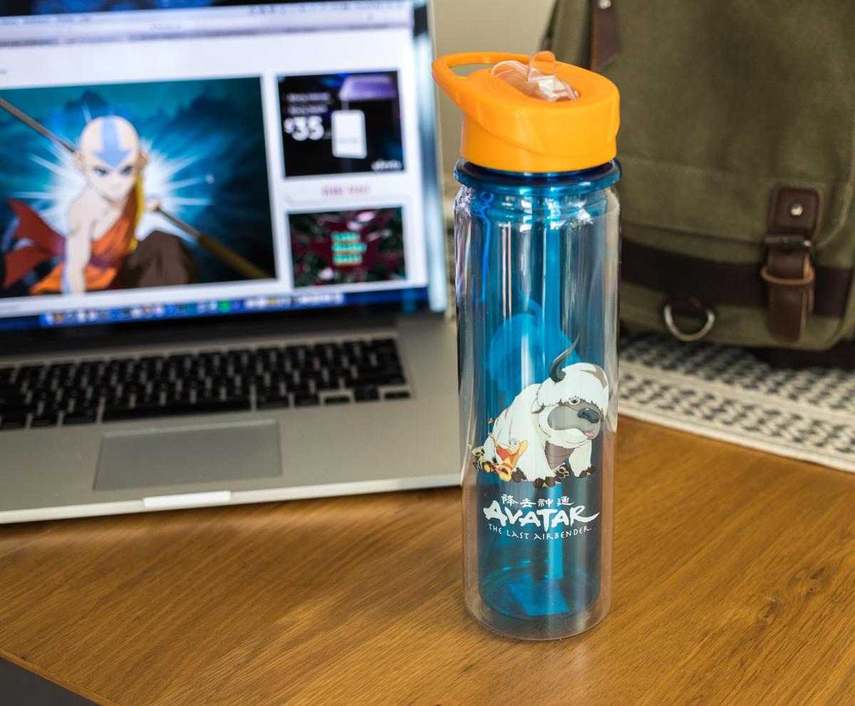 Avatar Last Airbender Aang & Appa Water Bottle picture
