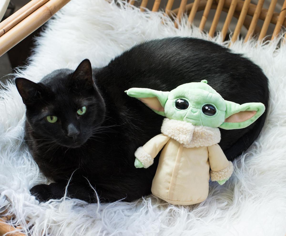 Star Wars The Mandalorian The Child 8" Plush with Pocket picture