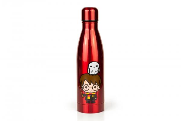 Harry Potter Aluminum Water Bottle, Harry Potter