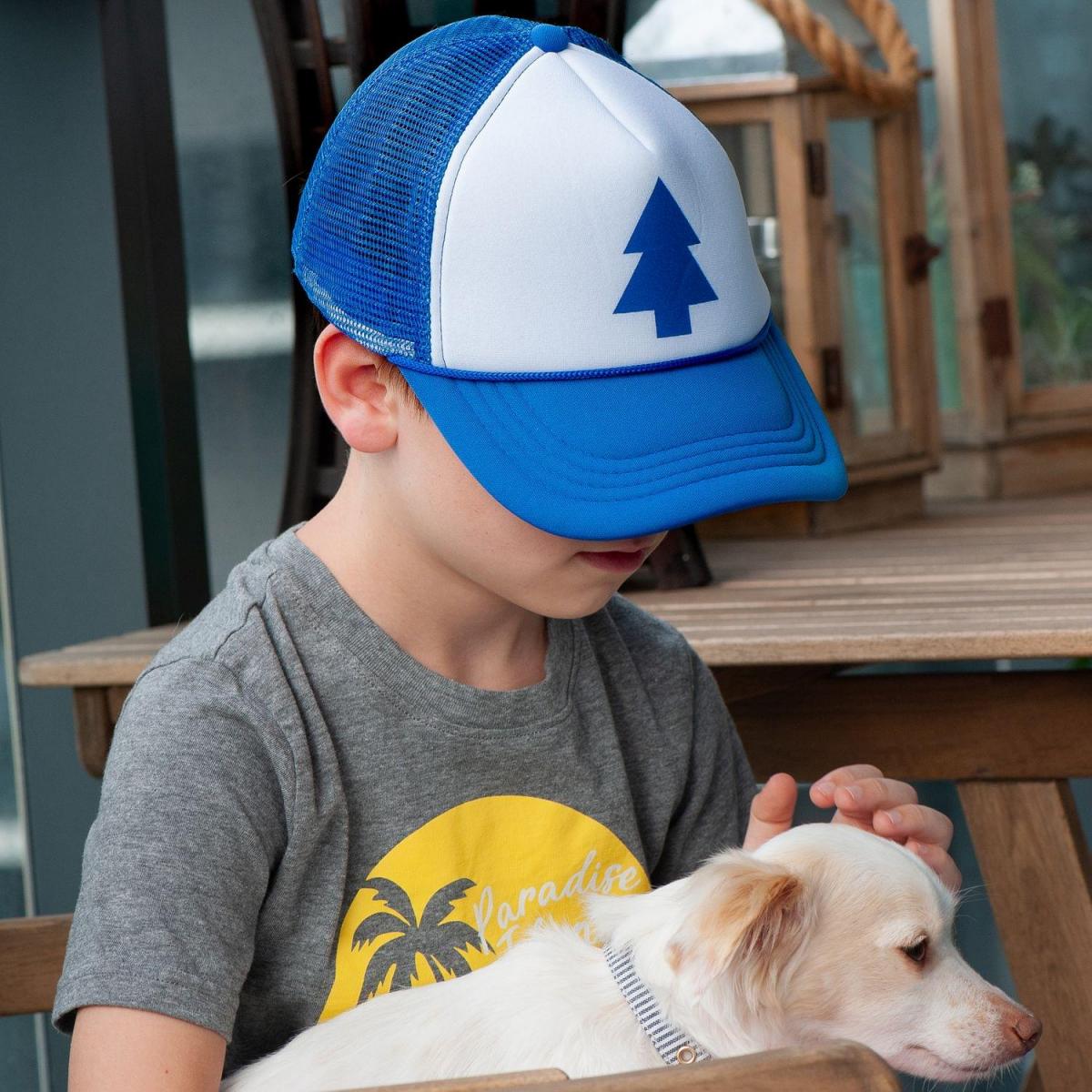 Gravity Falls Dipper Pines Trucker Hat picture