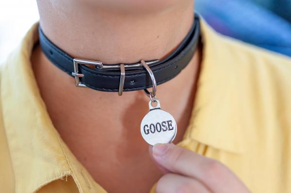 Captain Marvel Goose Collar | Tesseract Keychain | Pins picture