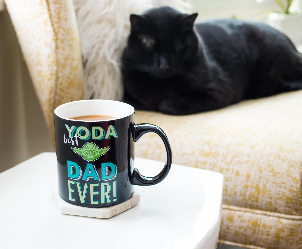 Star Wars Yoda Best Dad Ever 20 Ounce Ceramic Mug picture
