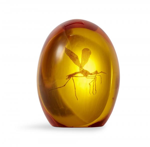 Jurassic Park Mosquito In Amber Resin Prop Replica picture