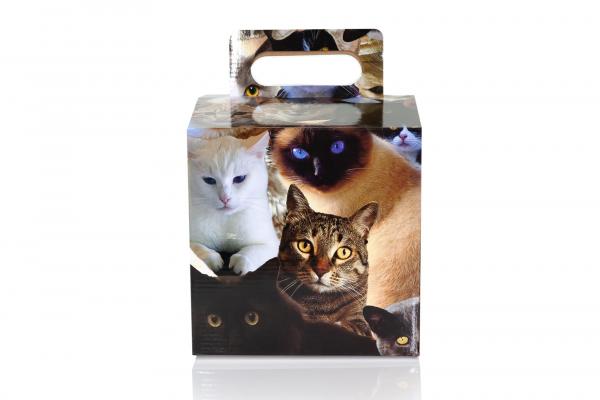 Cats 7.75 x 7.75 x 7.7 Inch Flat Empty Gift Box picture