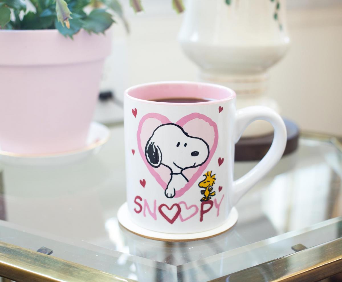 Peanuts Snoopy Woodstock Hearts 14 Ounce Mug picture