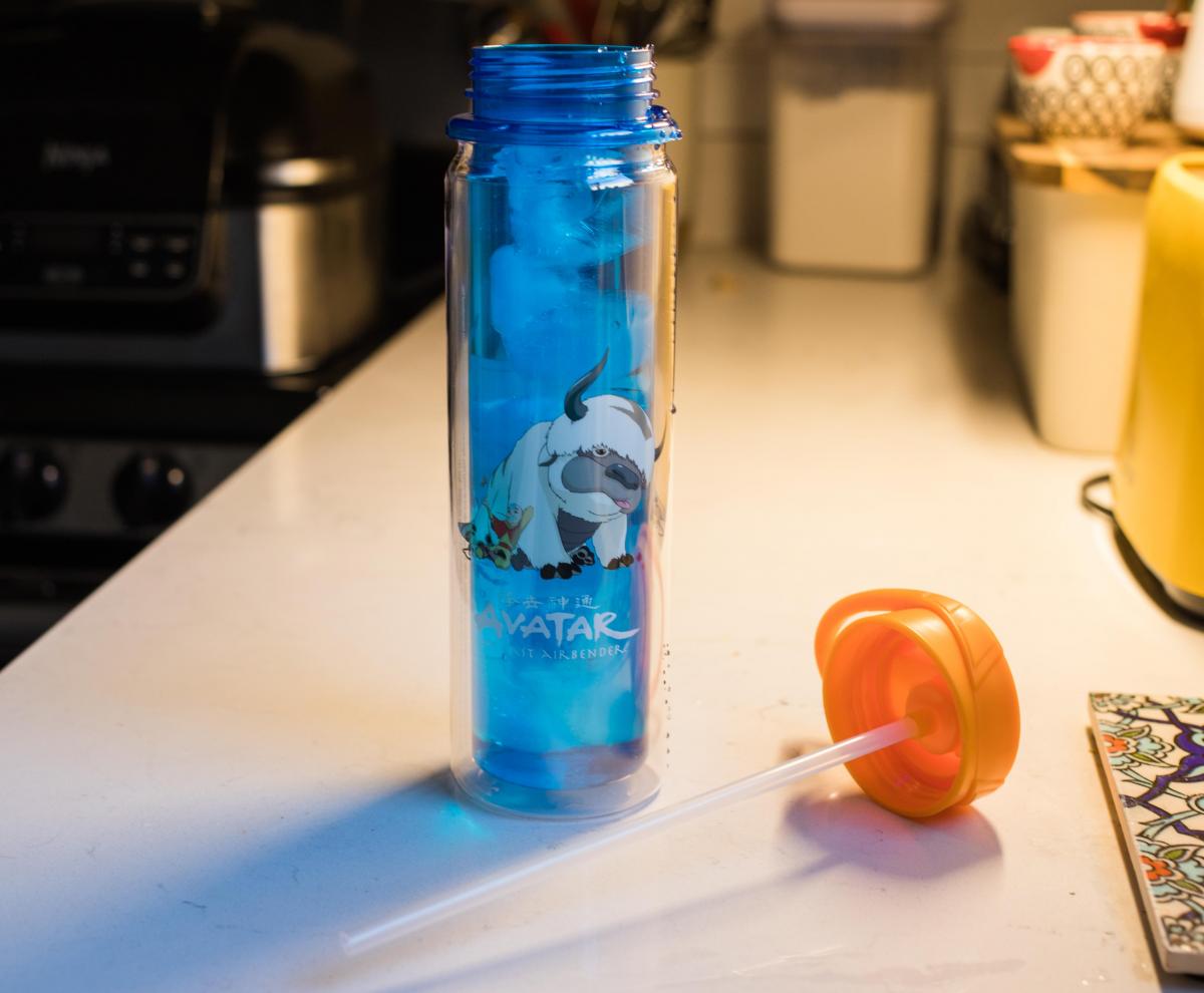 Avatar Last Airbender Aang & Appa Water Bottle picture