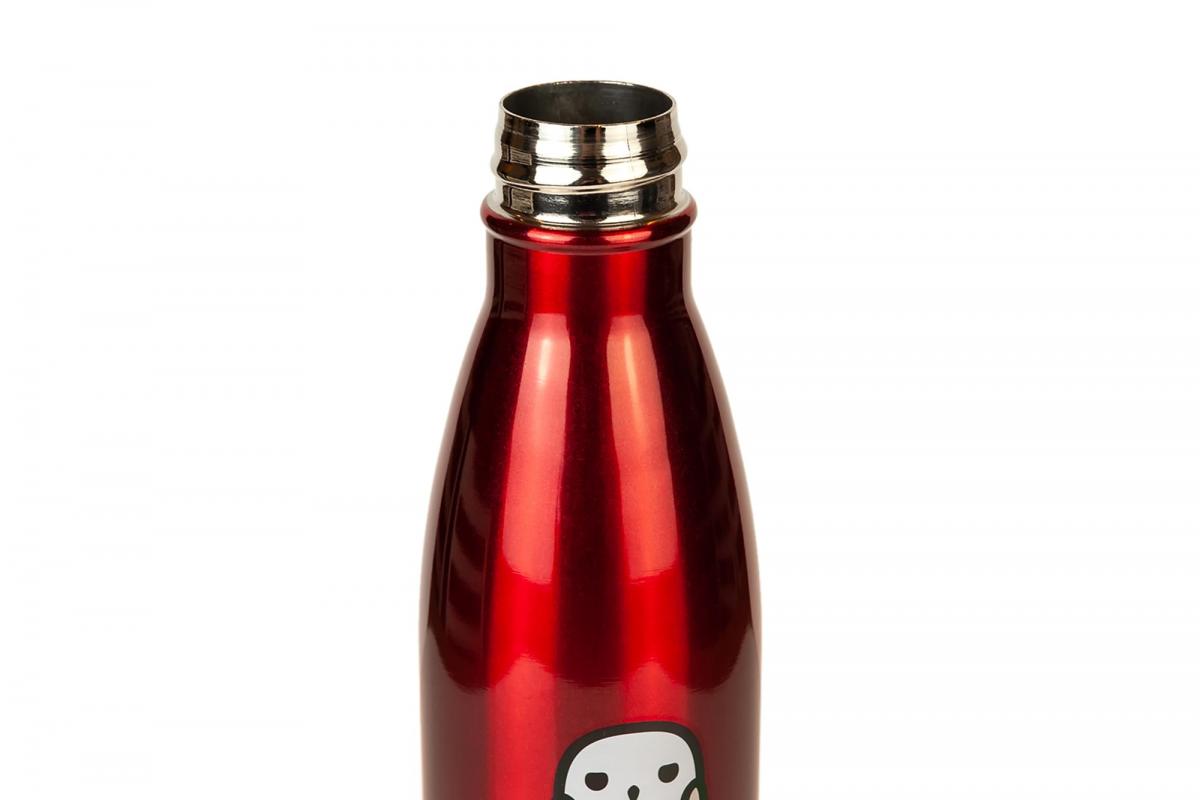 Harry Potter Aluminum Water Bottle, Harry Potter picture