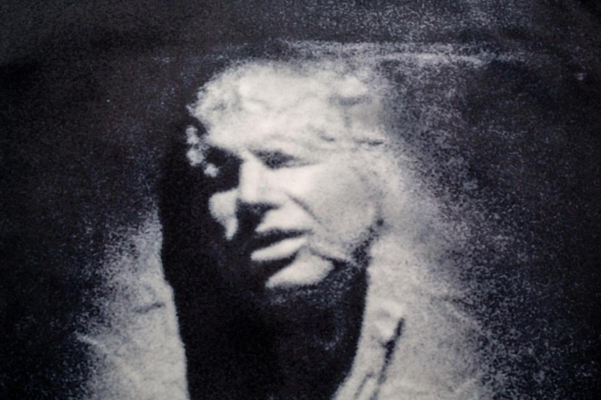 Star Wars Han Solo in Carbonite Shower Curtain picture