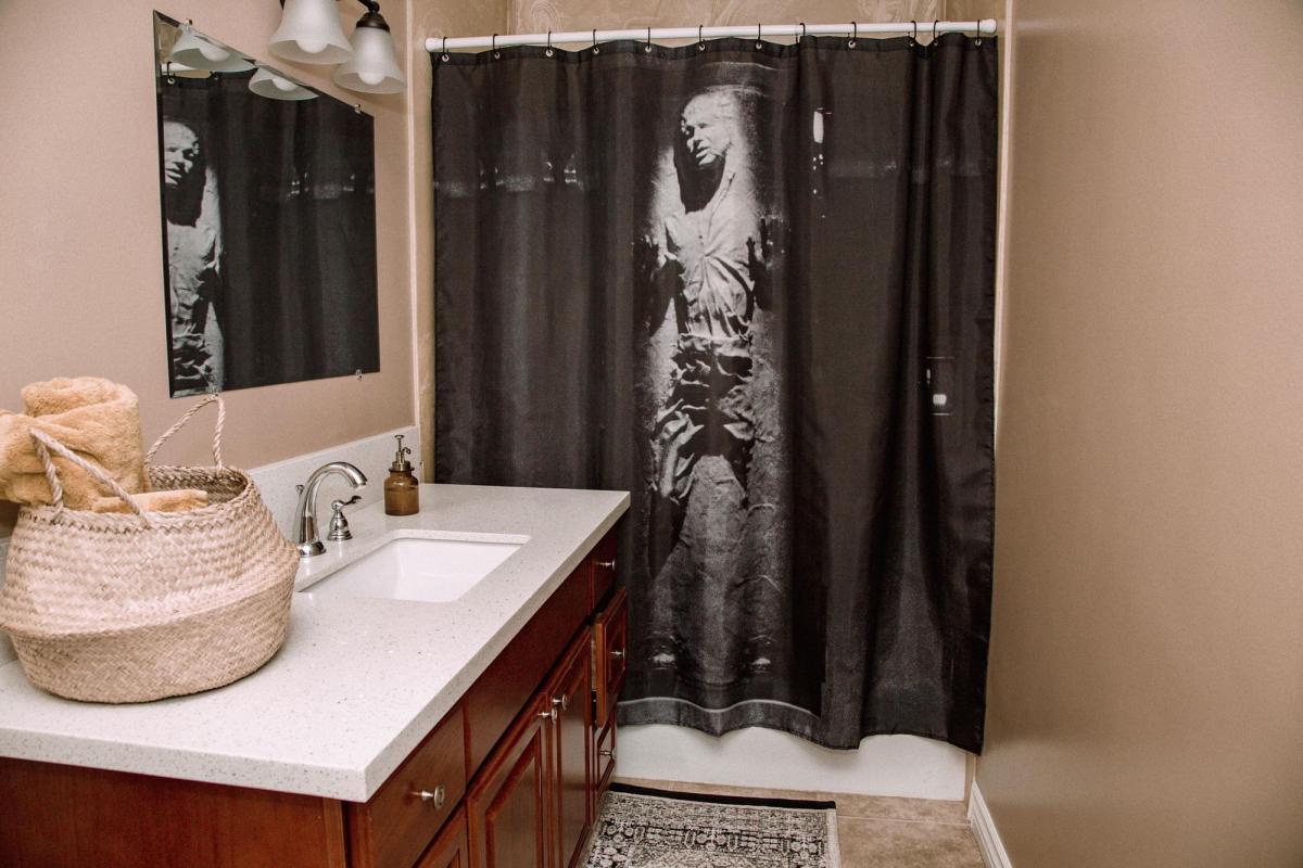 Star Wars Han Solo in Carbonite Shower Curtain picture