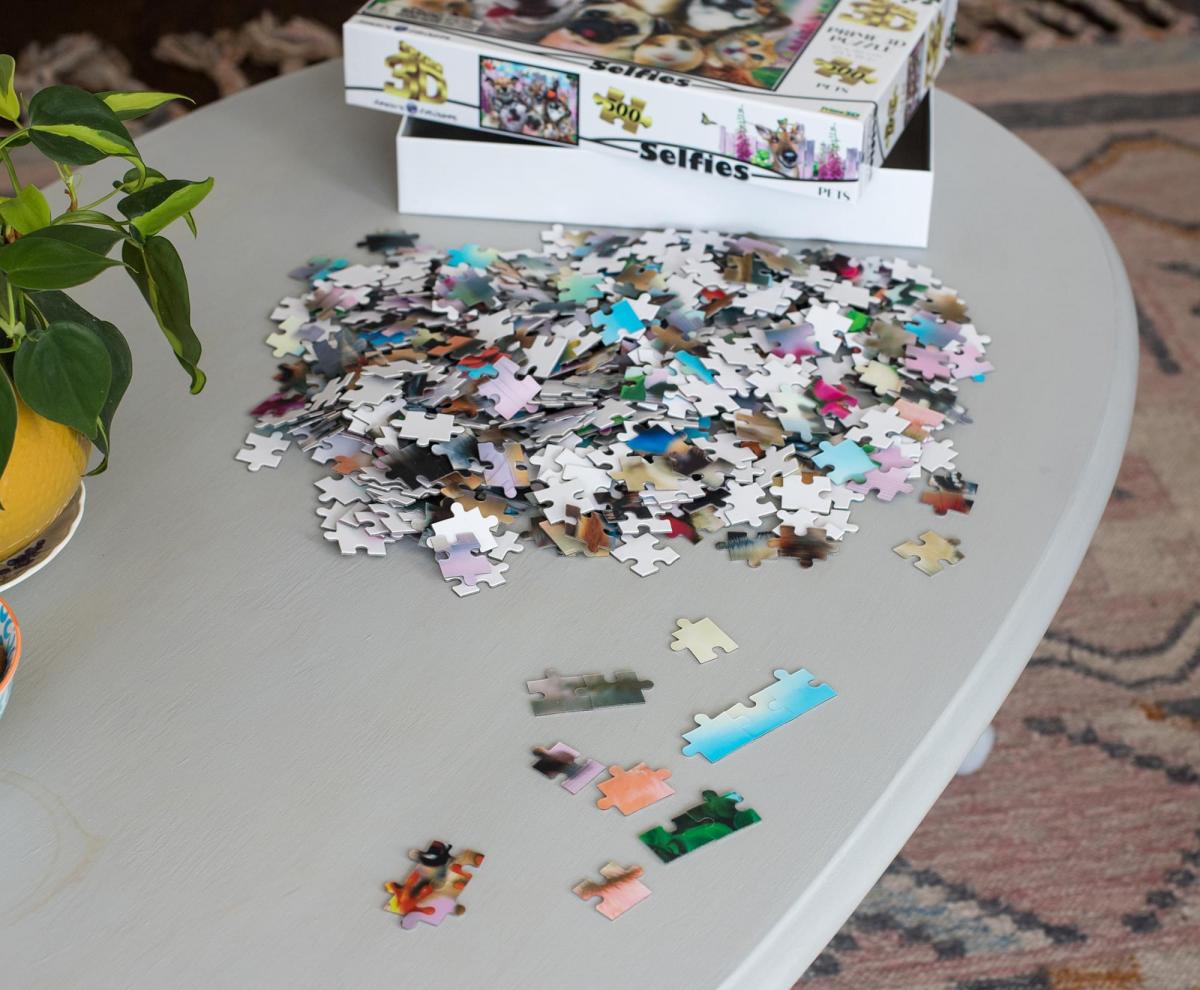 Howard Robinson Pet Selfie 500 Piece 3D Jigsaw Puzzle picture