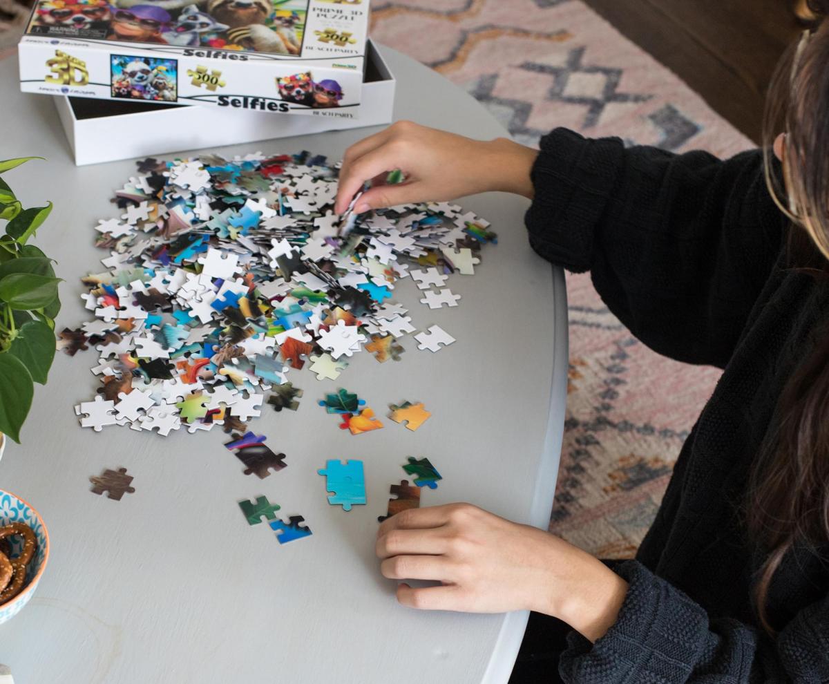 Howard Robinson Wild Beach Party 500 Piece 3D Jigsaw Puzzle picture