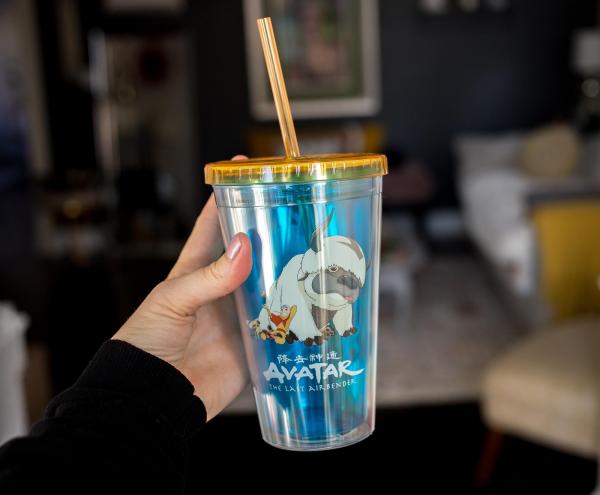 Avatar Last Airbender Aang & Appa Carnival Cup picture
