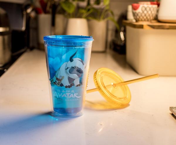 Avatar Last Airbender Aang & Appa Carnival Cup picture