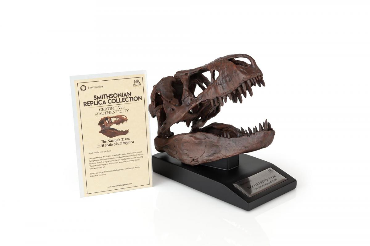 The Nation's T-Rex Skull Statue | 6-Inch Smithsonian Fossil Replica| 1:10 Scale picture