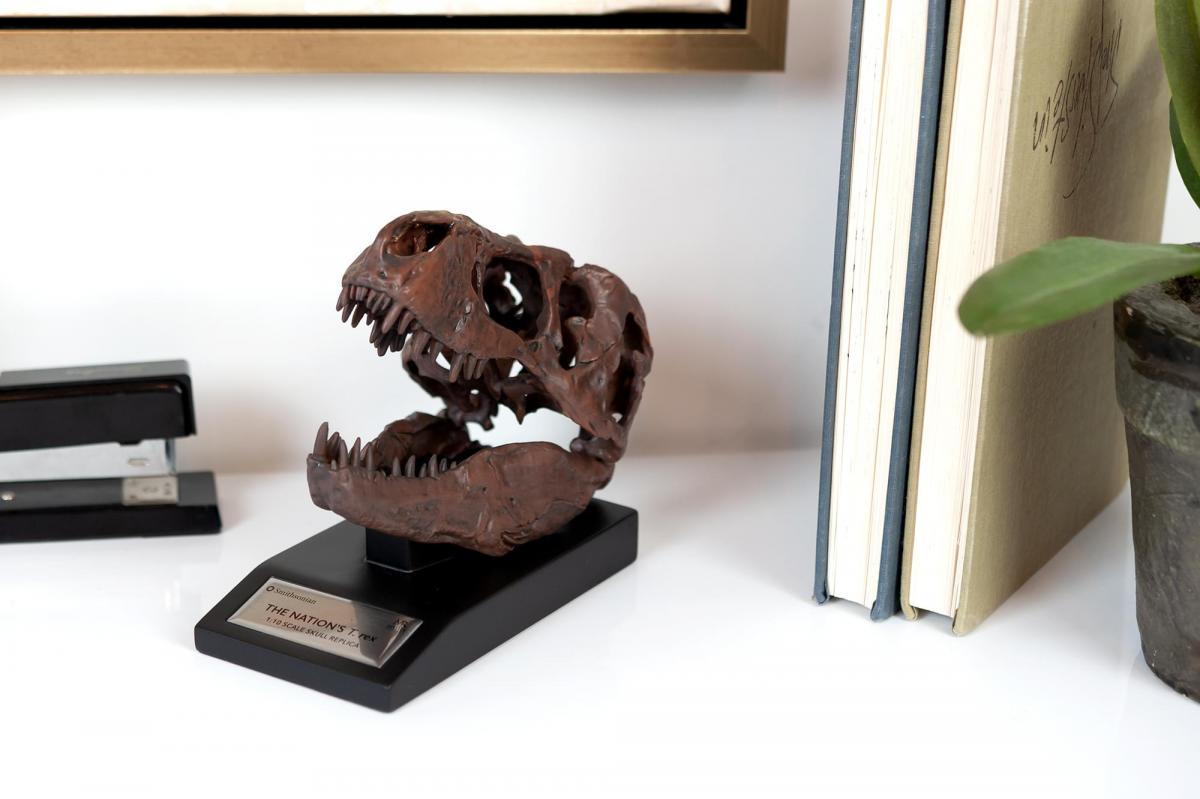 The Nation's T-Rex Skull Statue | 6-Inch Smithsonian Fossil Replica| 1:10 Scale picture