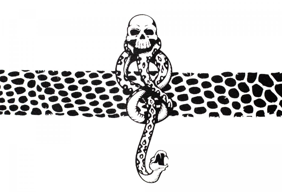 Harry Potter Death Eater 4 Piece Dinner Placemat Set picture