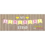 My Lemonade Stand