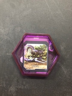 Pandora Coasters picture