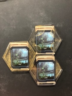 Pandora Coasters picture