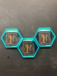 Pandora Coasters picture