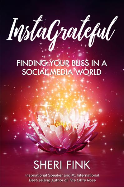 Instagrateful: Finding Your Bliss in a Social Media World (inspirational memoir for grown ups) picture