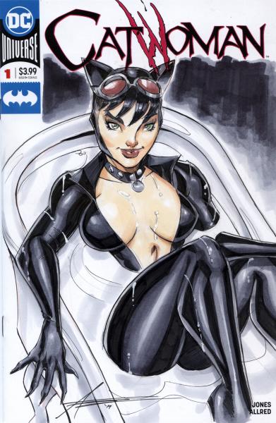 Catwoman Original Art Sketch Cover