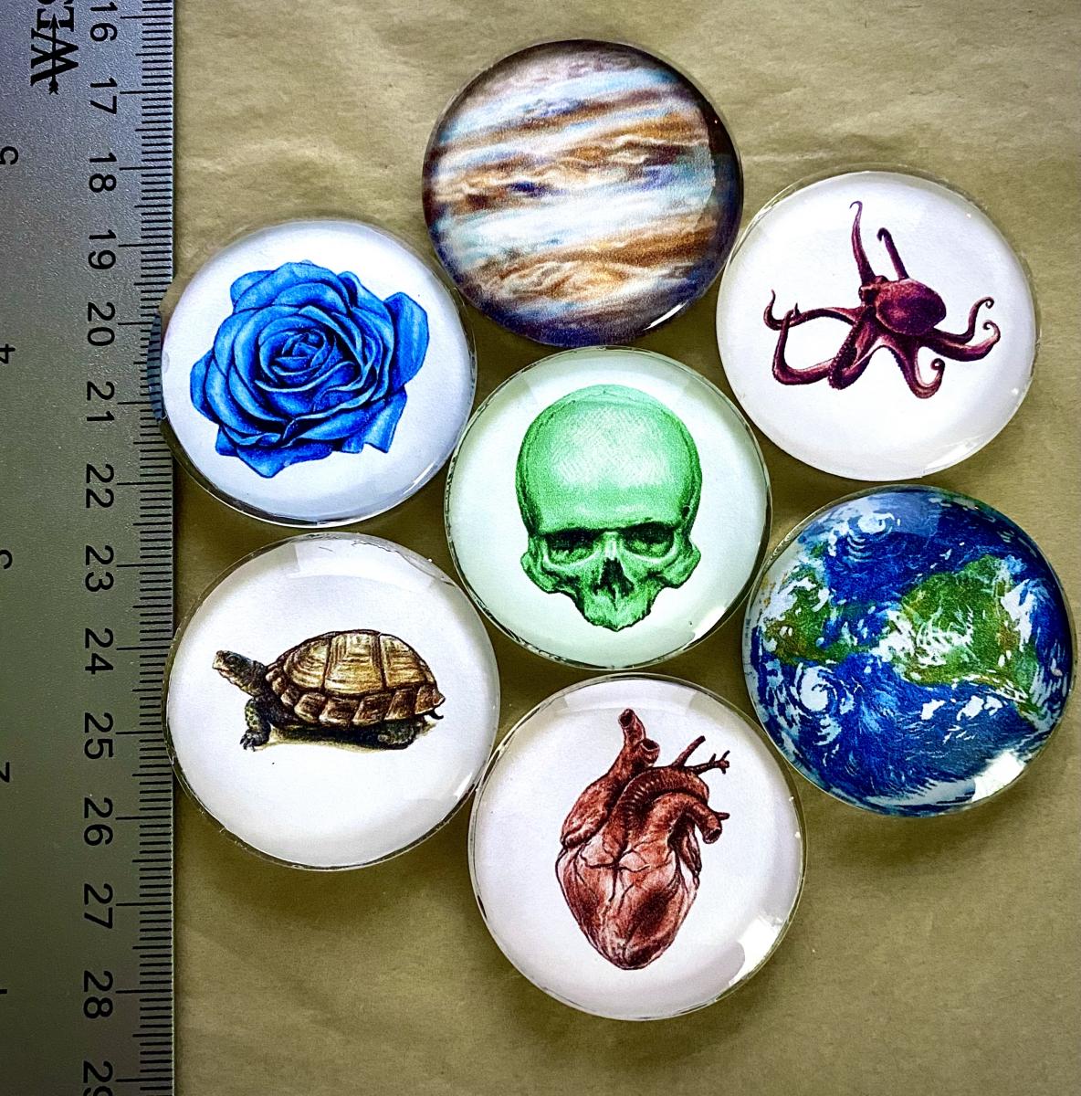 Random Mystery Magnet picture