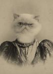 Polly Persian - 8x10 Print