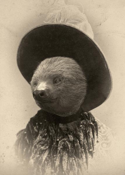 Sylvia Sloth - 8x10 Print picture