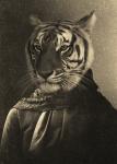 Tillie Tiger - 20x30 Canvas