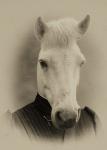 Henry Horse - 8x10 Print