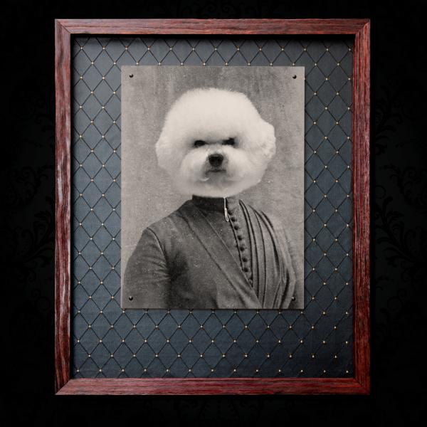 Becky Bichon - 18x24 Metal