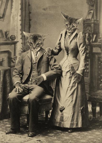 Abel and Abby Abyssinian - 8x10 Print picture
