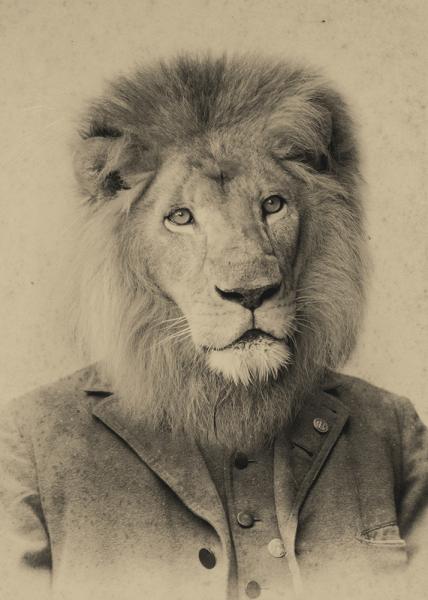 Leonard Lion - 20x30 Canvas picture